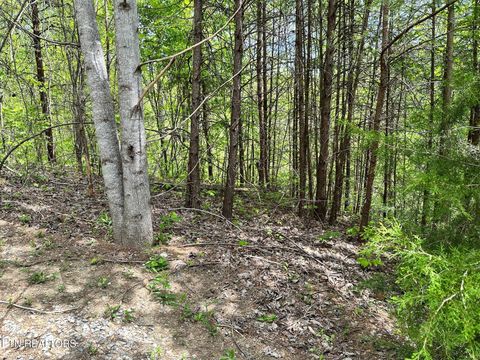 Photo of 1430 Mountain Dreams Way, Sevierville, TN 37862 (MLS # 1342658)