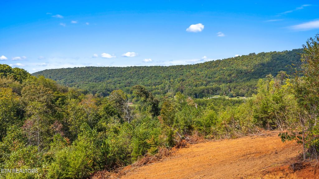 Photo of 1776 Fairview Rd, Tellico Plains, TN 37385 (MLS # 1309441)