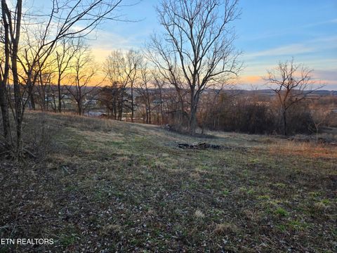 Tiny photo for 735 County Road 350 #LOT 6, Sweetwater, TN 37874 (MLS # 1329671)