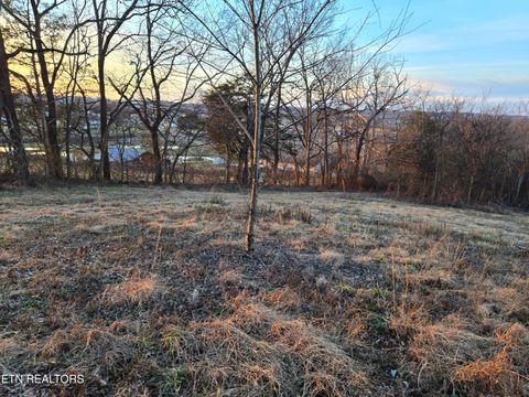 Tiny photo for 735 County Road 350 #LOT 6, Sweetwater, TN 37874 (MLS # 1329671)
