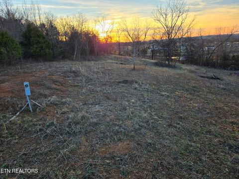 Tiny photo for 735 County Road 350 #LOT 6, Sweetwater, TN 37874 (MLS # 1329671)