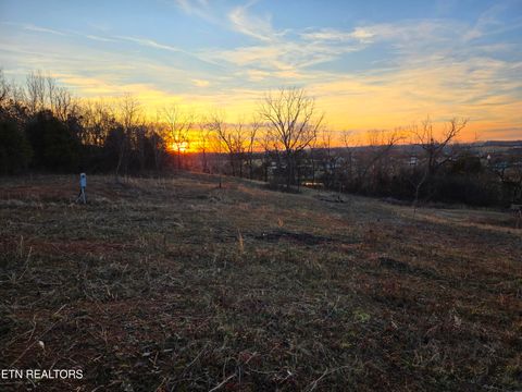 Tiny photo for 735 County Road 350 #LOT 6, Sweetwater, TN 37874 (MLS # 1329671)