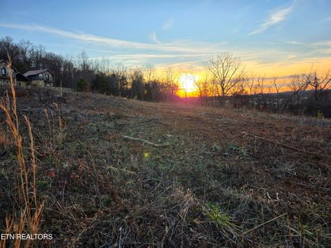 Tiny photo for 735 County Road 350 #LOT 6, Sweetwater, TN 37874 (MLS # 1329671)