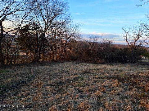 Tiny photo for 735 County Road 350 #LOT 6, Sweetwater, TN 37874 (MLS # 1329671)