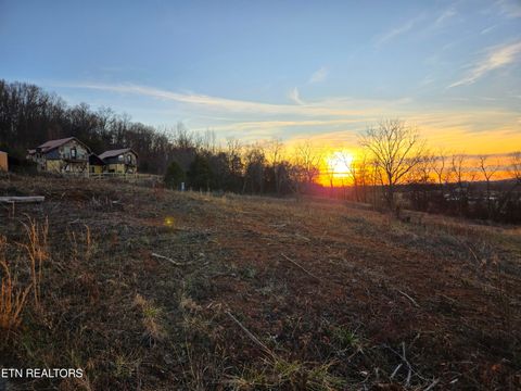 Tiny photo for 735 County Road 350 #LOT 6, Sweetwater, TN 37874 (MLS # 1329671)