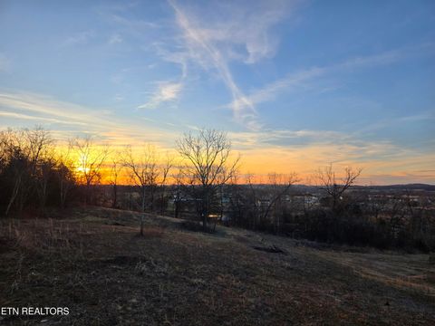 Tiny photo for 735 County Road 350 #LOT 6, Sweetwater, TN 37874 (MLS # 1329671)