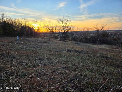 Tiny photo for 735 County Road 350 #LOT 6, Sweetwater, TN 37874 (MLS # 1329671)