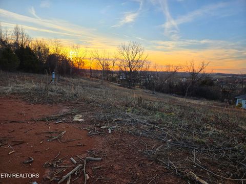 Tiny photo for 735 County Road 350 #LOT 6, Sweetwater, TN 37874 (MLS # 1329671)