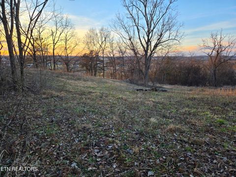 Tiny photo for 735 County Road 350 #LOT 6, Sweetwater, TN 37874 (MLS # 1329671)