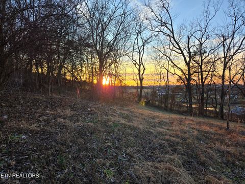 Tiny photo for 735 County Road 350 #LOT 6, Sweetwater, TN 37874 (MLS # 1329671)