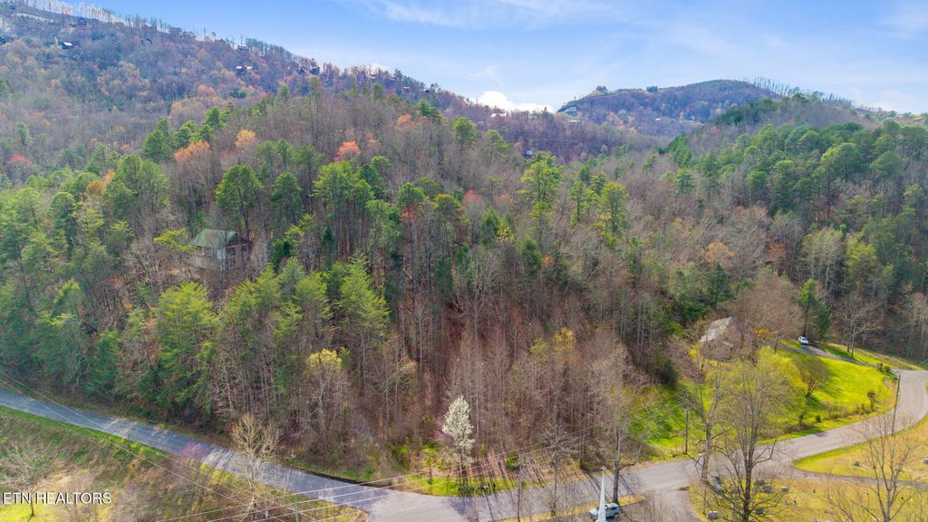 Photo of Little Cove Church Rd, Sevierville, TN 37862 (MLS # 1333437)