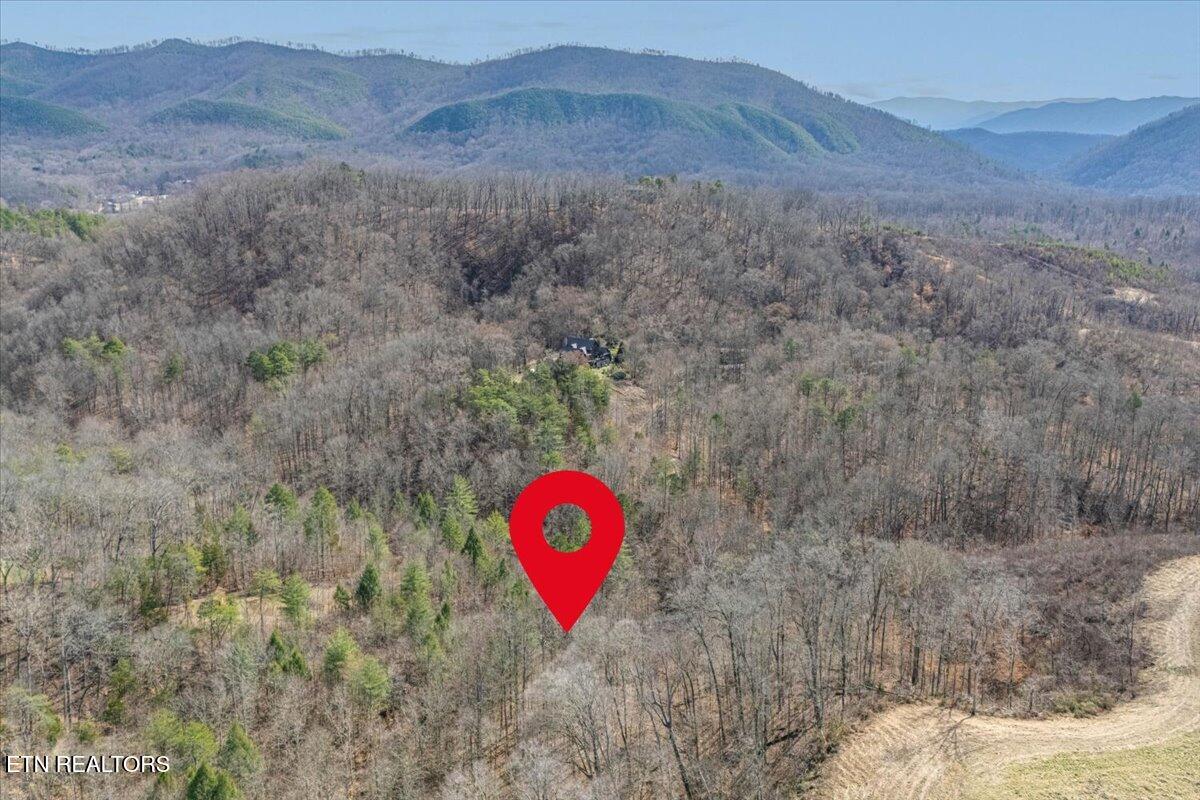 Ellejoy Crossing Way