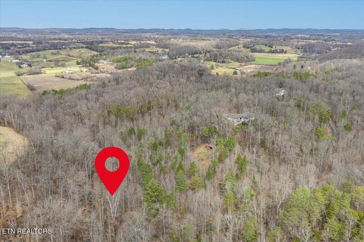 Ellejoy Crossing Way