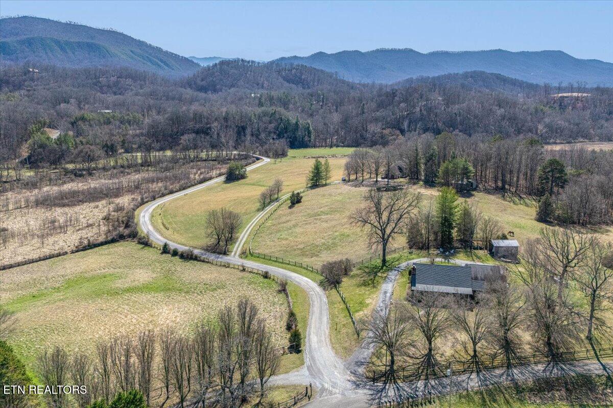 Ellejoy Crossing Way