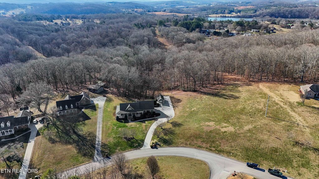 Photo of 190 Vineyard Cove Drive, Loudon, TN 37774 (MLS # 1325518)