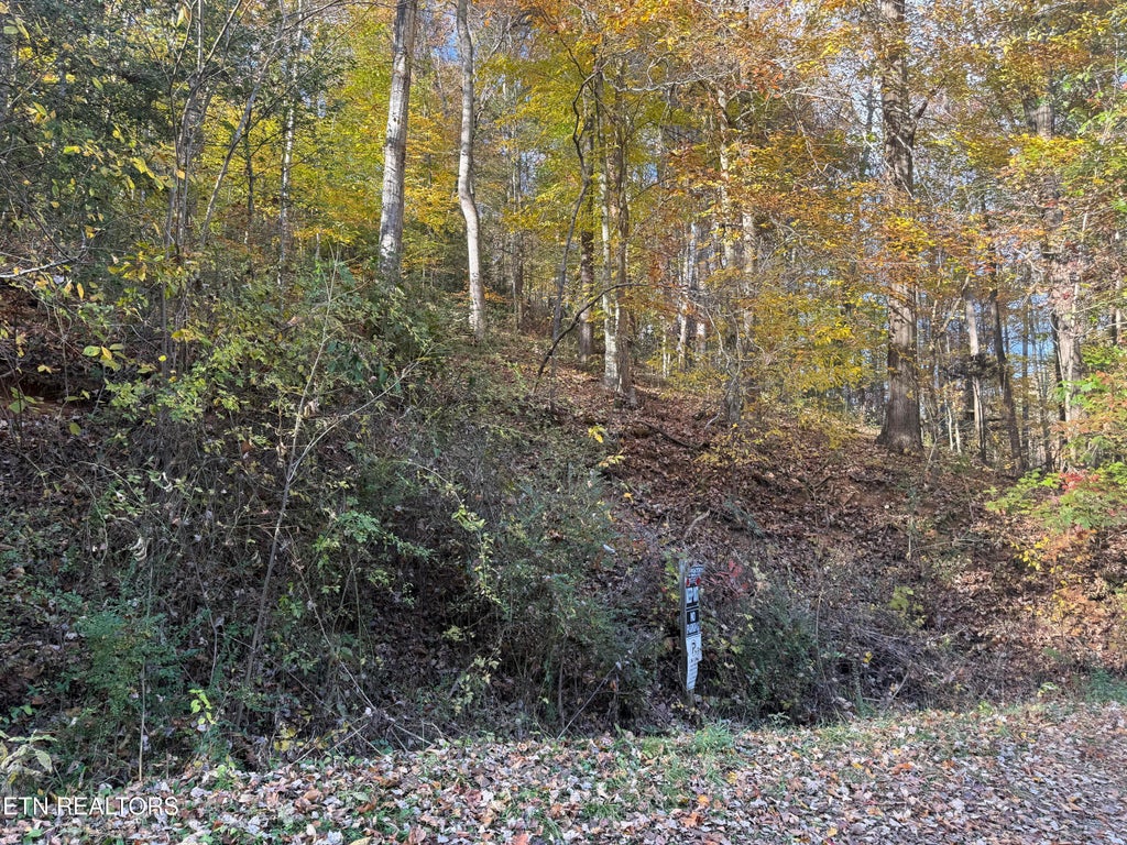 Photo of Trentham Way, Pigeon Forge, TN 37863 (MLS # 1353814)