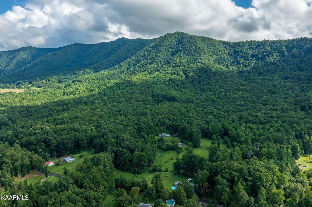 Photo of 105 Lail Lane, Townsend, TN 37882 (MLS # 1236351)