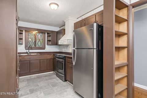 Tiny photo for 2908 Renegade Mountain Pkwy, Crab Orchard, TN 37723 (MLS # 1320517)