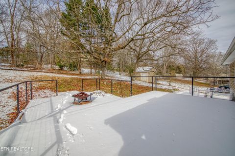 Tiny photo for 7731 Jenkins Rd, Knoxville, TN 37931 (MLS # 1328398)