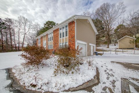 Tiny photo for 7731 Jenkins Rd, Knoxville, TN 37931 (MLS # 1328398)