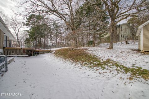 Tiny photo for 7731 Jenkins Rd, Knoxville, TN 37931 (MLS # 1328398)