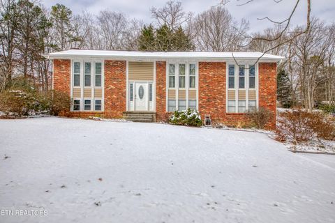 Photo of 7731 Jenkins Rd, Knoxville, TN 37931 (MLS # 1328398)