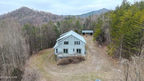 856 & 878 Little Berry Way 2 Del Rio TN 37727