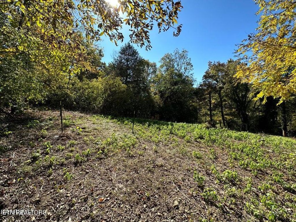 Photo of 4021 Island Home Pike, Knoxville, TN 37920 (MLS # 1327294)