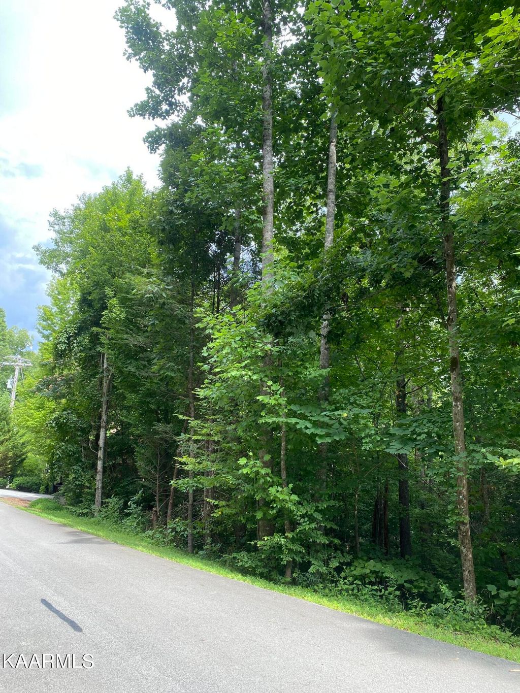 Photo of 424 Laurel Rd, Townsend, TN 37882 (MLS # 1200753)