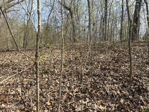 Tiny photo for Lot 8 Johnson Lane, Ten Mile, TN 37880 (MLS # 1333969)