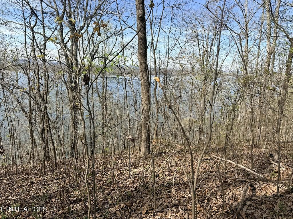 Photo of Lot 8 Johnson Lane, Ten Mile, TN 37880 (MLS # 1333969)
