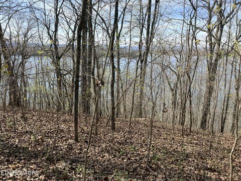 Tiny photo for Lot 8 Johnson Lane, Ten Mile, TN 37880 (MLS # 1333969)