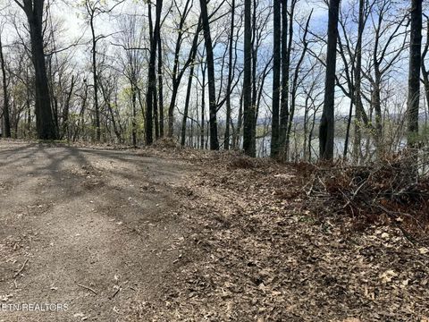 Tiny photo for Lot 8 Johnson Lane, Ten Mile, TN 37880 (MLS # 1333969)