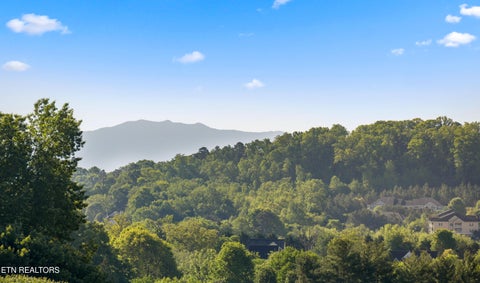 Tiny photo for 5113 Gouffon Rd, Knoxville, TN 37918 (MLS # 1338111)