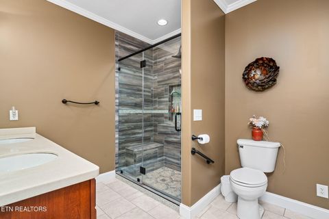 Tiny photo for 38 Saddle Brook Lane, Crossville, TN 38571 (MLS # 1319642)