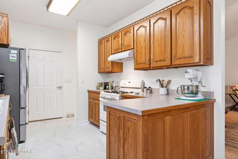 Tiny photo for 85 Santee Court, Crossville, TN 38572 (MLS # 1326001)