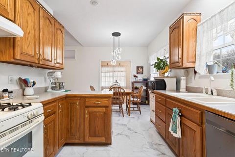 Tiny photo for 85 Santee Court, Crossville, TN 38572 (MLS # 1326001)