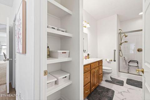 Tiny photo for 85 Santee Court, Crossville, TN 38572 (MLS # 1326001)