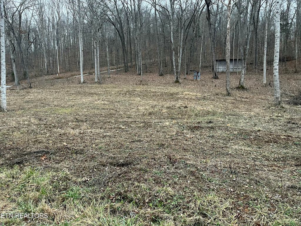 Photo of Leadmine Bend Rd, Sharps Chapel, TN 37866 (MLS # 1327230)