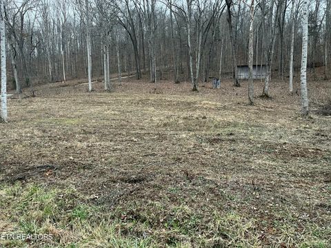 Photo of Leadmine Bend Rd, Sharps Chapel, TN 37866 (MLS # 1327230)