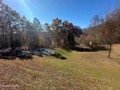 Tiny photo for 134 Chapman Lane, Jacksboro, TN 37757 (MLS # 1325279)