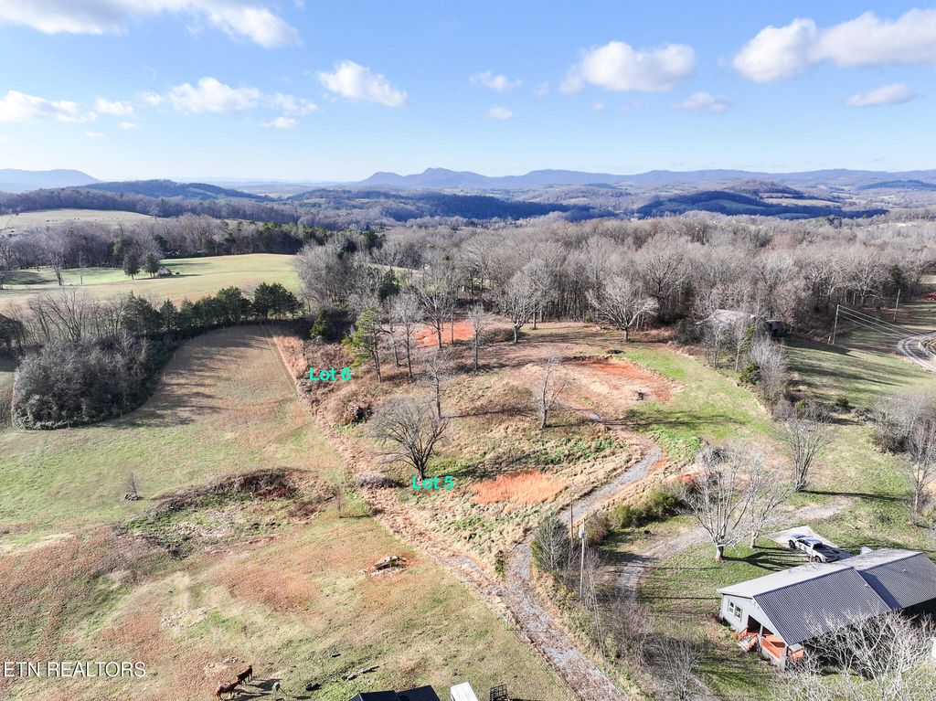 Photo of 1741 Redwing Lane, New Market, TN 37820 (MLS # 1324675)