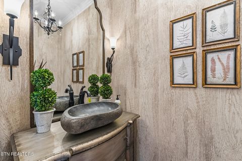 Tiny photo for 329 Farragut Crossing Drive, Knoxville, TN 37934 (MLS # 1324130)