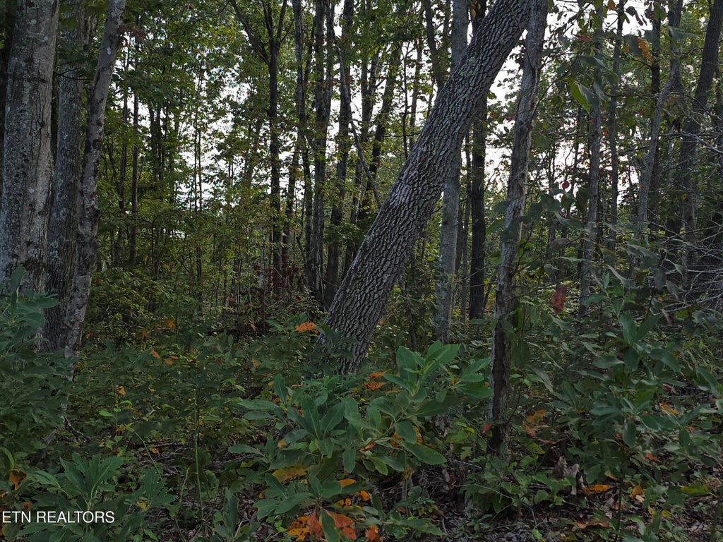 Photo of 9 Mill Creek Rd #026 009.19, Sunbright, TN 37872 (MLS # 1353853)