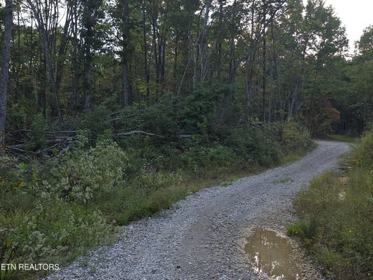 112 MILL CREEK RD 026, SUNBRIGHT, TN 37872 - Image 8e8afa7a83c54fcc8027767a98e331f7/872855992