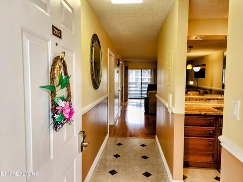 Tiny photo for 616 Turkey Nest Rd #APT 205, Gatlinburg, TN 37738 (MLS # 1341921)