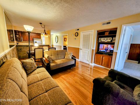 Tiny photo for 616 Turkey Nest Rd #APT 205, Gatlinburg, TN 37738 (MLS # 1341921)