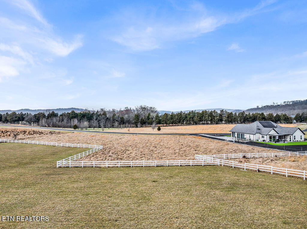 Photo of 259 W Shore Drive, Rockwood, TN 37854 (MLS # 1355302)