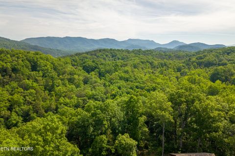 Photo of Lot 3 Fiesta Way, Sevierville, TN 37876 (MLS # 1342088)