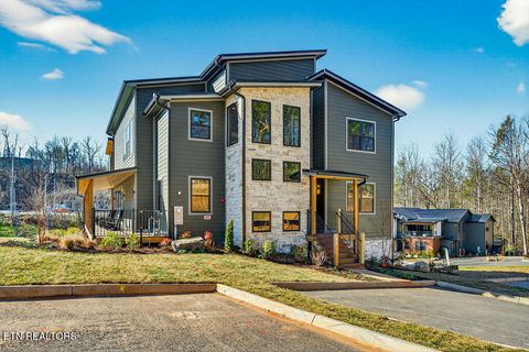 130 Mills Park Rd 10 Gatlinburg TN 37738